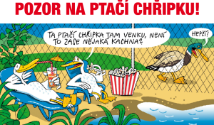 plakát